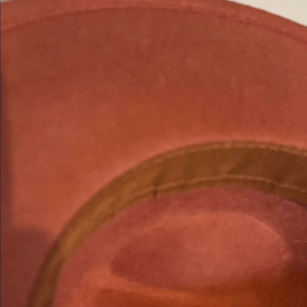 Altar'd State Terracotta Wide-Brim Fedora Hat. 100% Wool Minimalist Quite Luxury